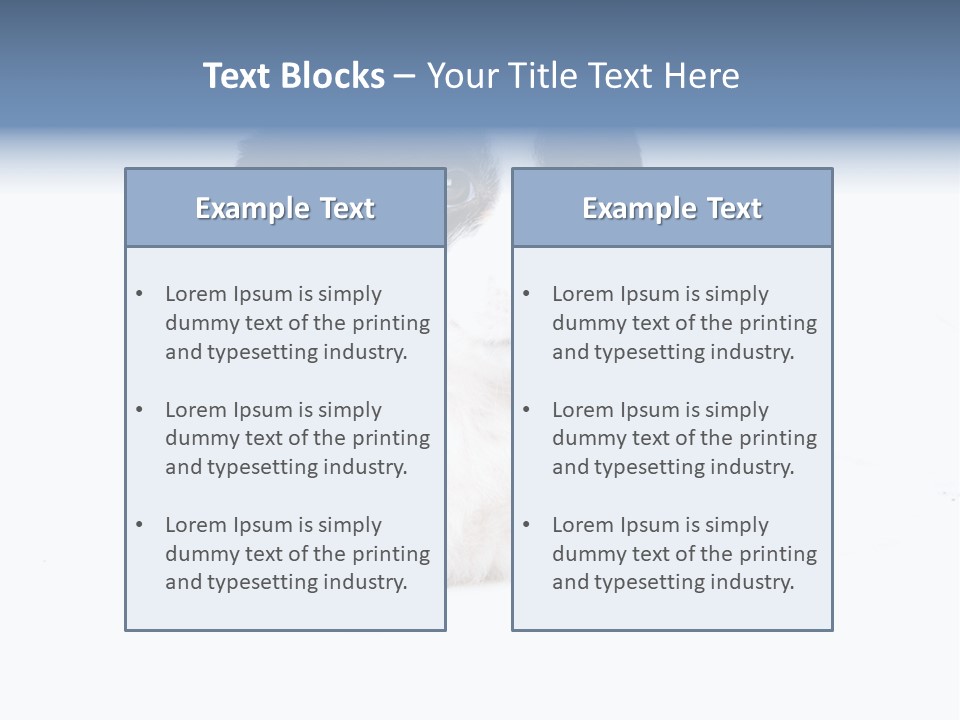 Eyes Toy Face PowerPoint Template
