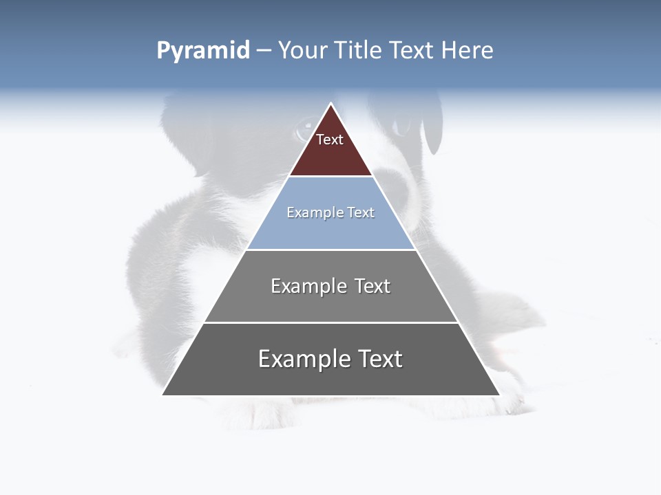 Eyes Toy Face PowerPoint Template