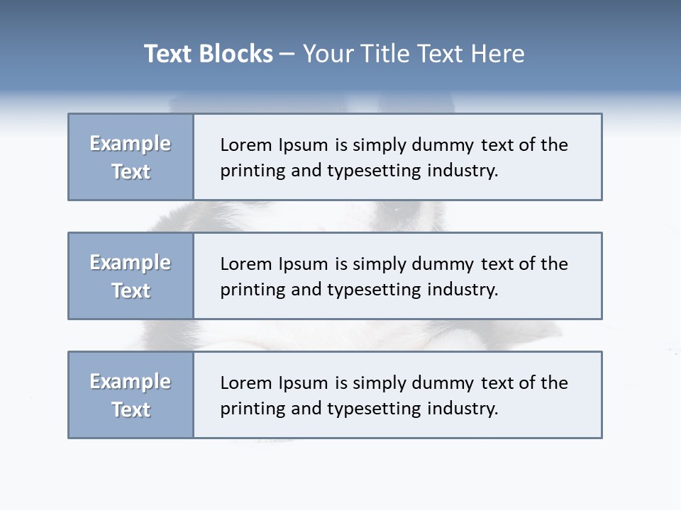 Eyes Toy Face PowerPoint Template