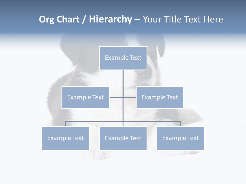 Eyes Toy Face PowerPoint Template