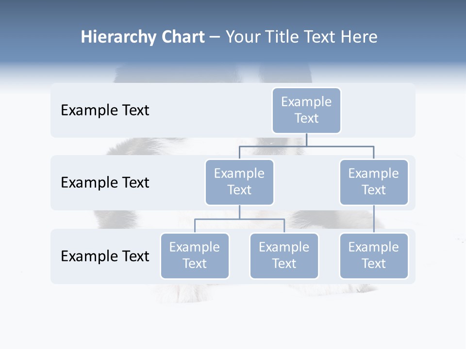 Eyes Toy Face PowerPoint Template