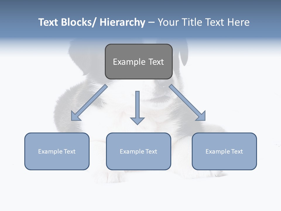 Eyes Toy Face PowerPoint Template