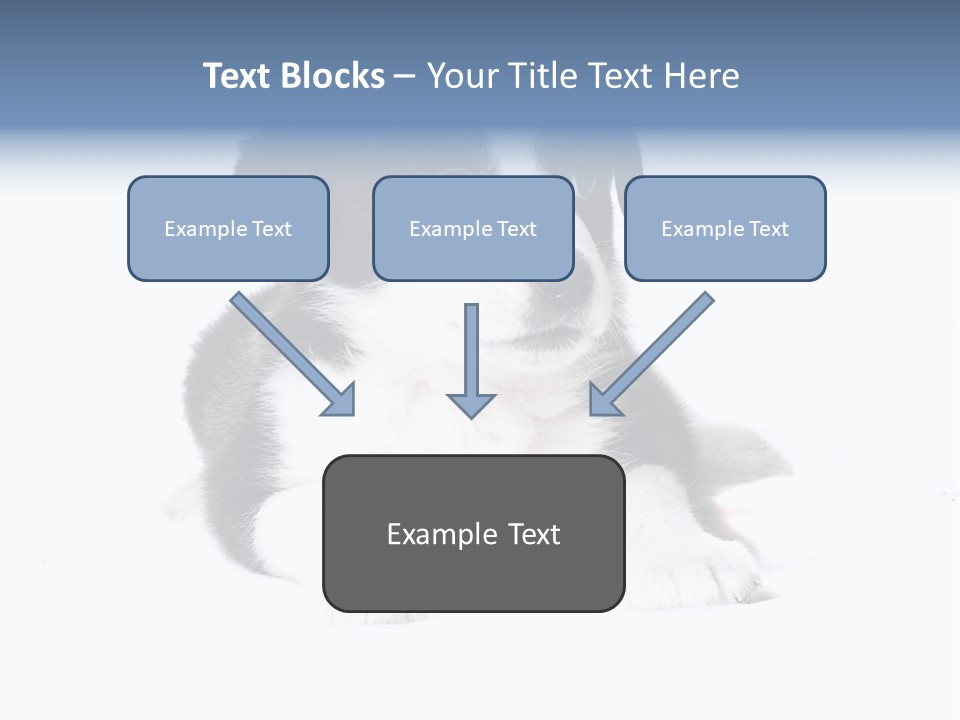 Eyes Toy Face PowerPoint Template