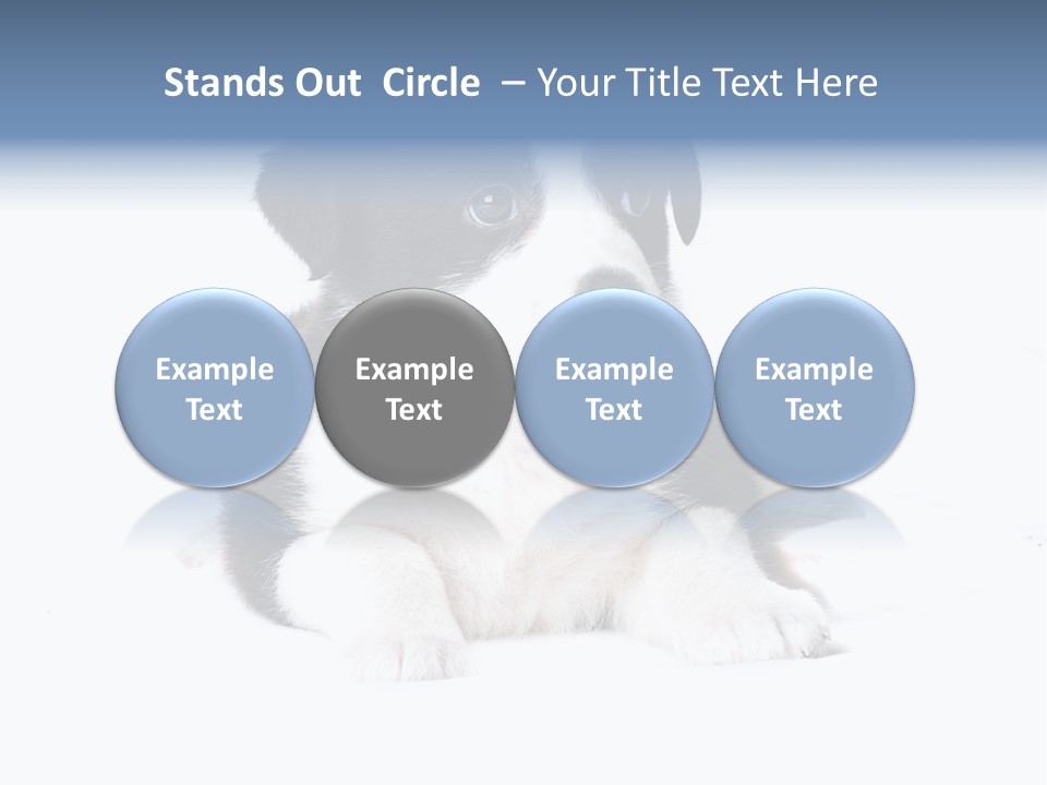 Eyes Toy Face PowerPoint Template