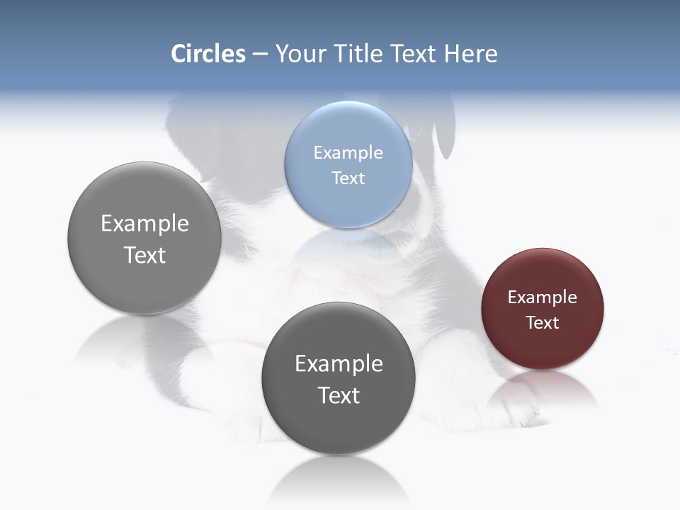 Eyes Toy Face PowerPoint Template