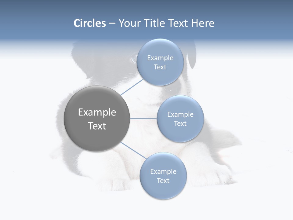 Eyes Toy Face PowerPoint Template