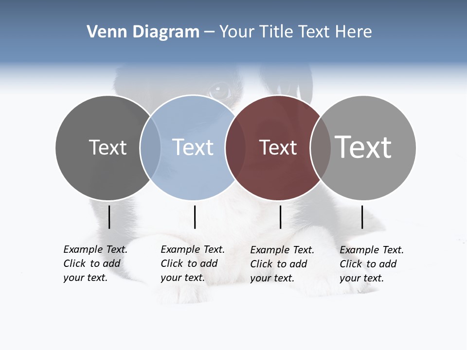 Eyes Toy Face PowerPoint Template