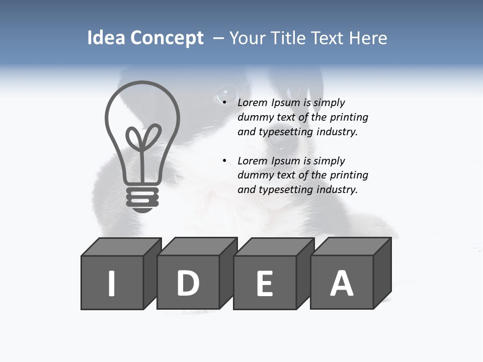 Eyes Toy Face PowerPoint Template