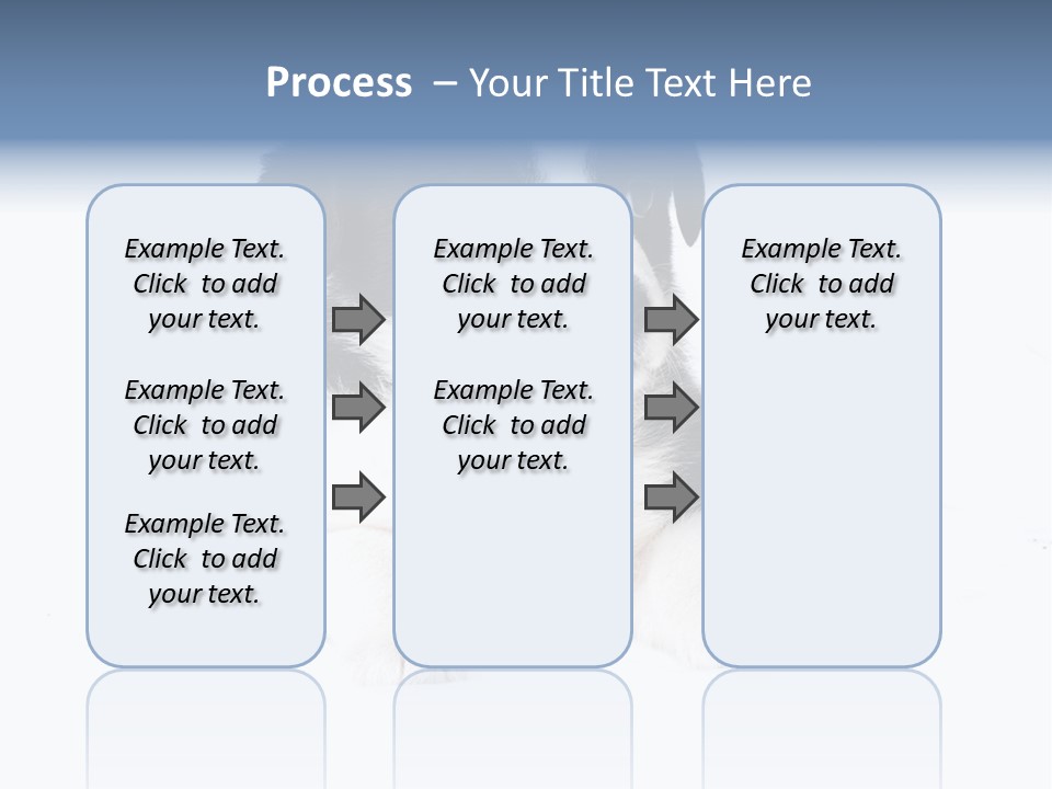 Eyes Toy Face PowerPoint Template