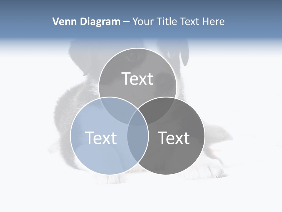 Eyes Toy Face PowerPoint Template