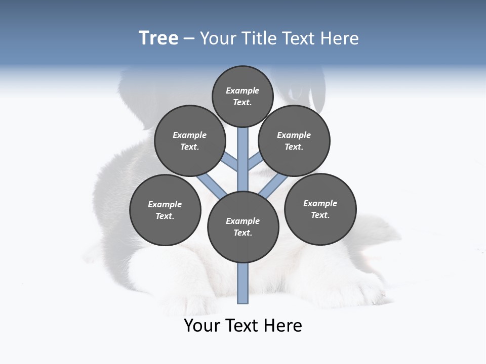 Eyes Toy Face PowerPoint Template