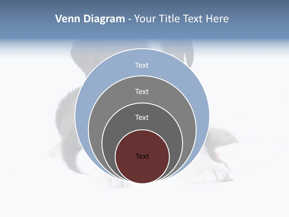Eyes Toy Face PowerPoint Template