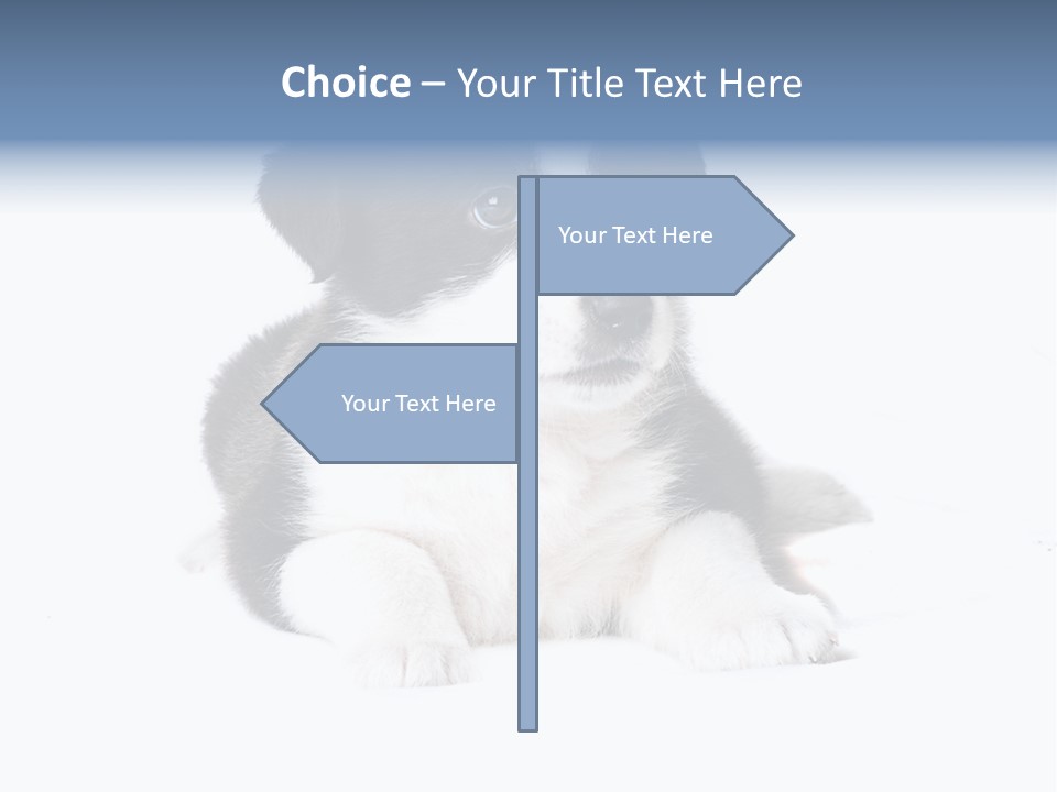 Eyes Toy Face PowerPoint Template