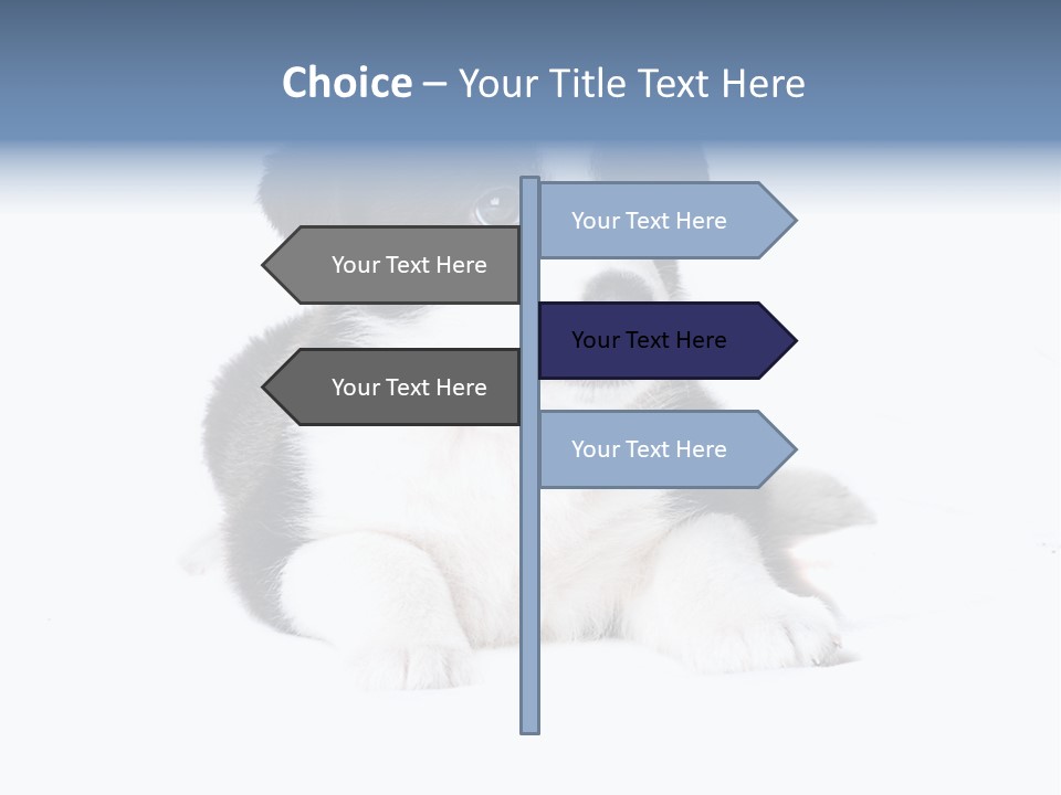 Eyes Toy Face PowerPoint Template