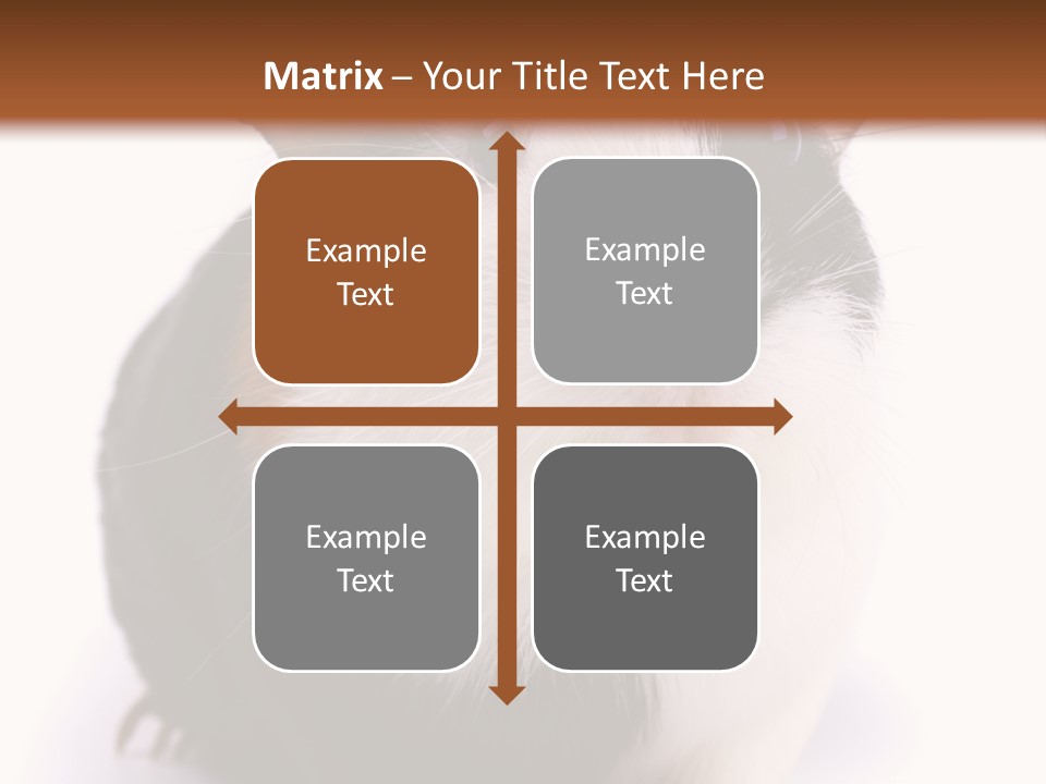 Pig Guinea Lab PowerPoint Template
