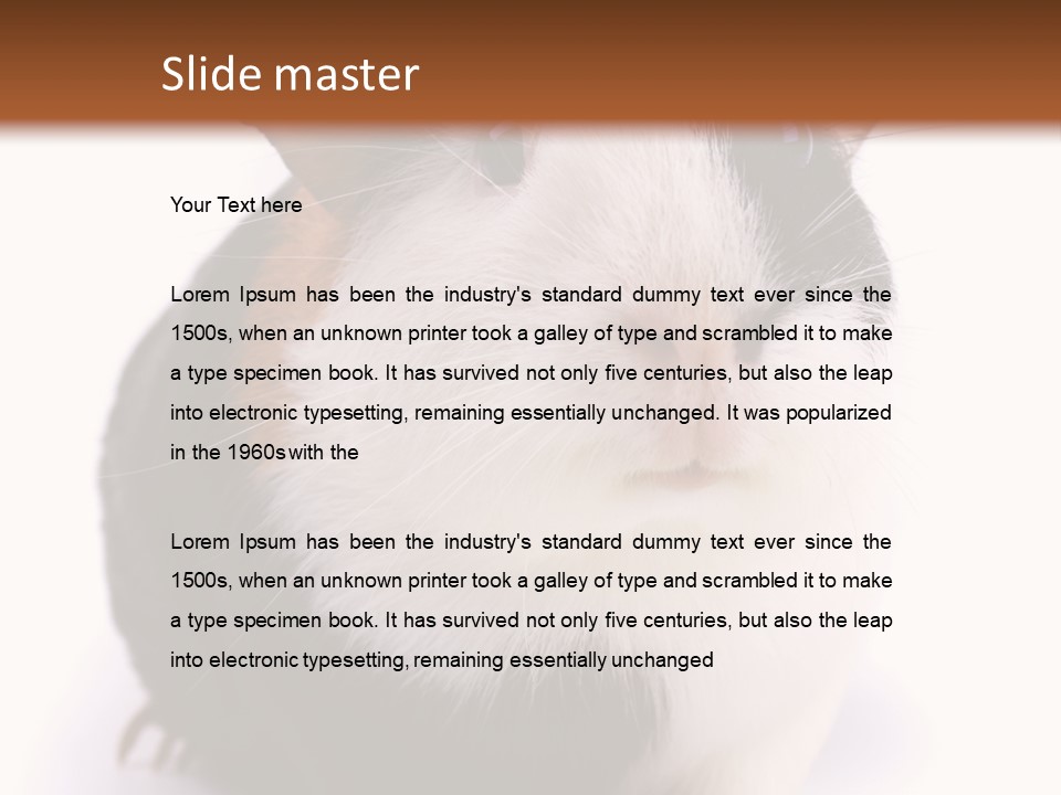 Pig Guinea Lab PowerPoint Template