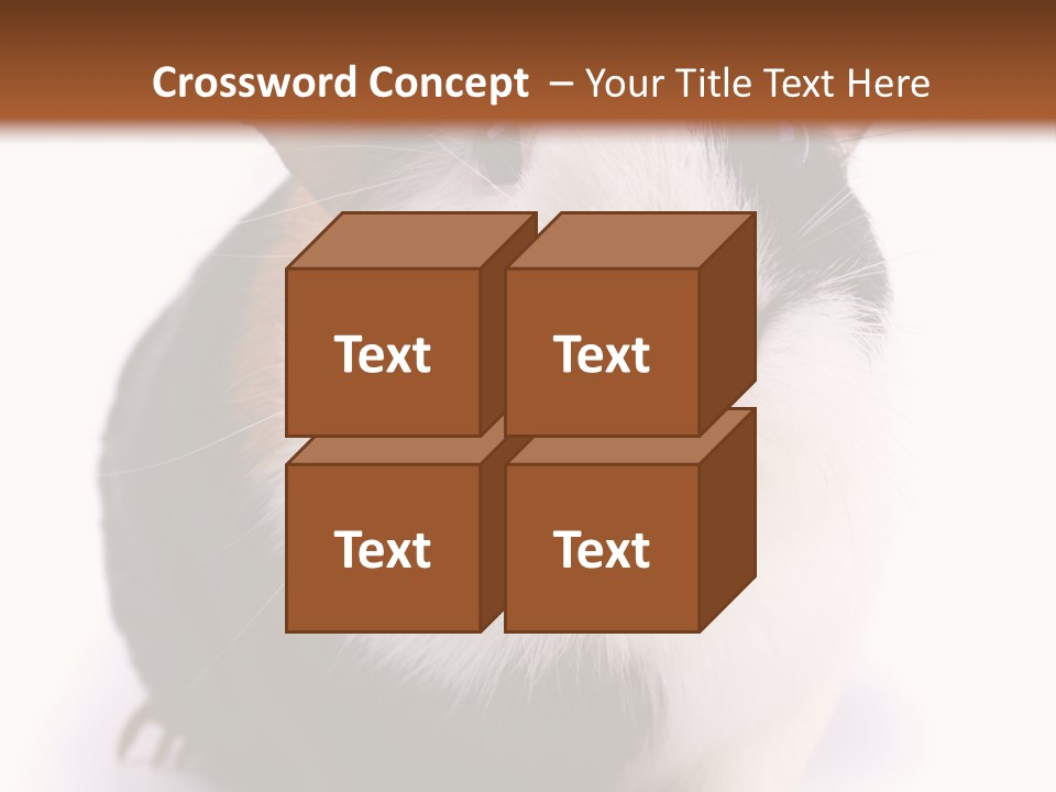 Pig Guinea Lab PowerPoint Template