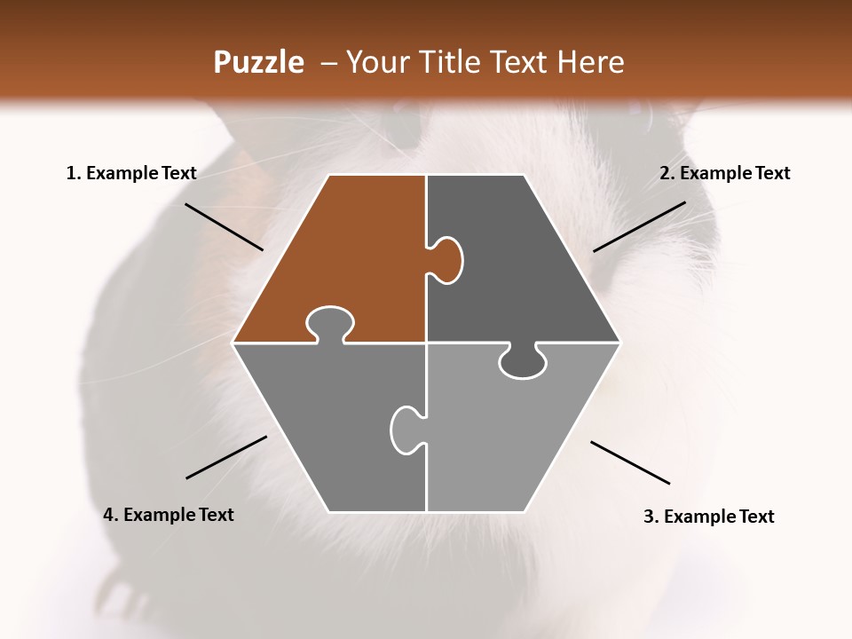 Pig Guinea Lab PowerPoint Template