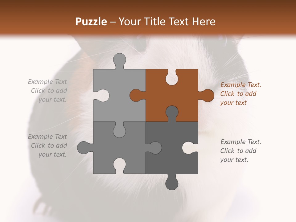 Pig Guinea Lab PowerPoint Template
