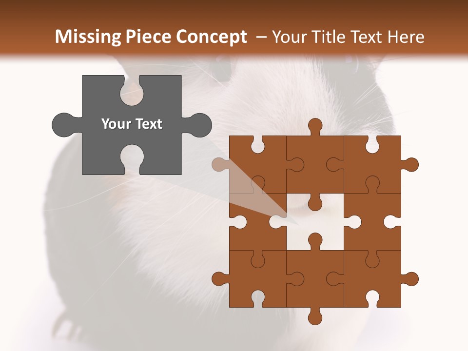 Pig Guinea Lab PowerPoint Template