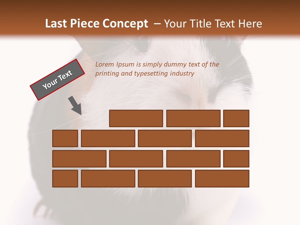 Pig Guinea Lab PowerPoint Template