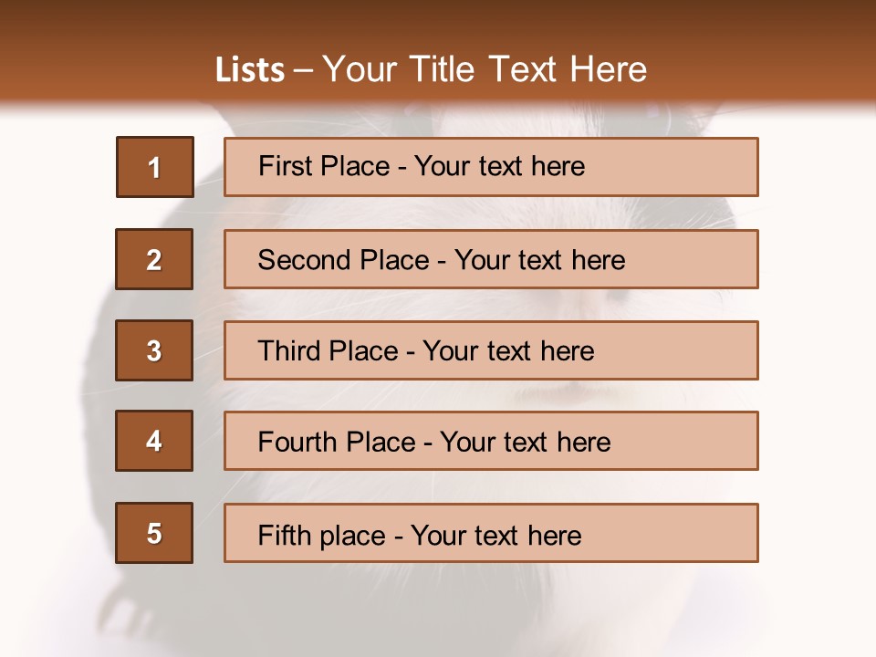 Pig Guinea Lab PowerPoint Template