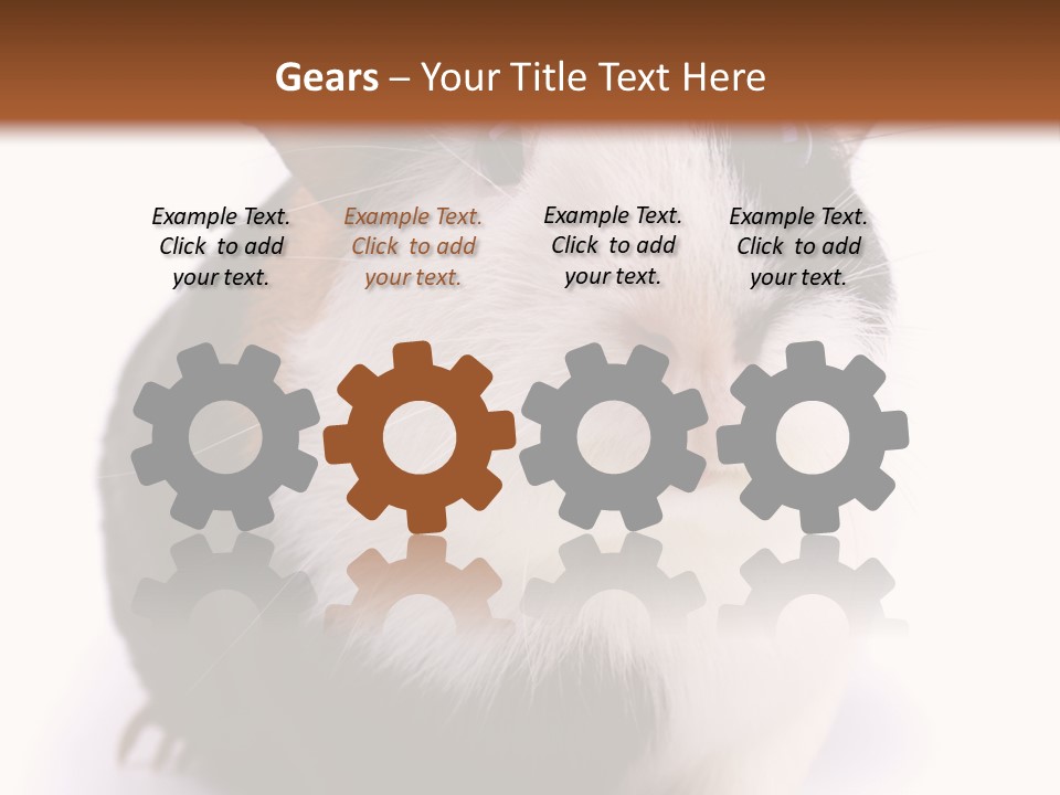 Pig Guinea Lab PowerPoint Template