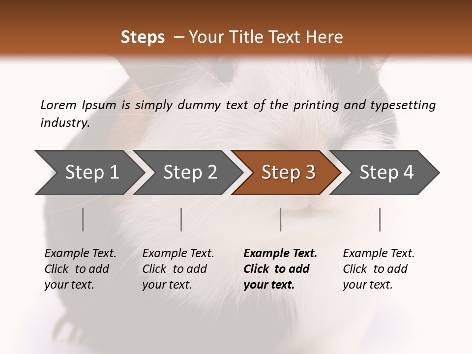 Pig Guinea Lab PowerPoint Template