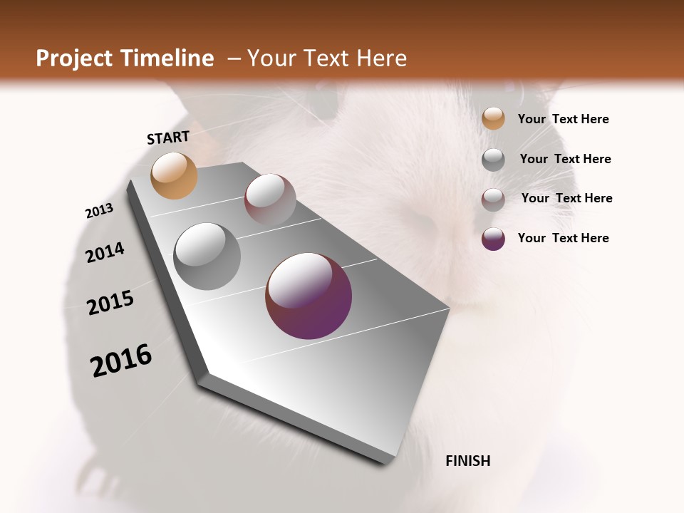Pig Guinea Lab PowerPoint Template