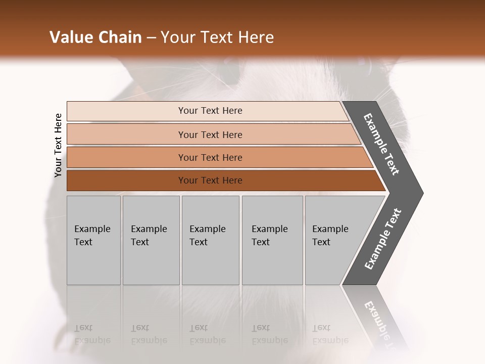 Pig Guinea Lab PowerPoint Template