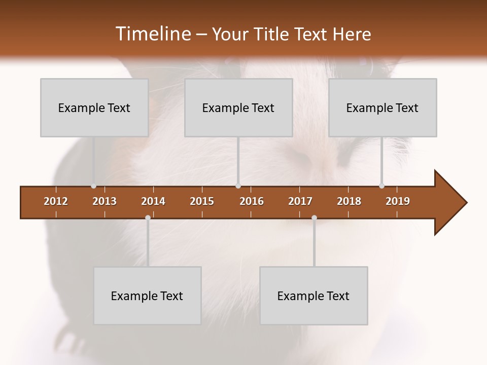 Pig Guinea Lab PowerPoint Template
