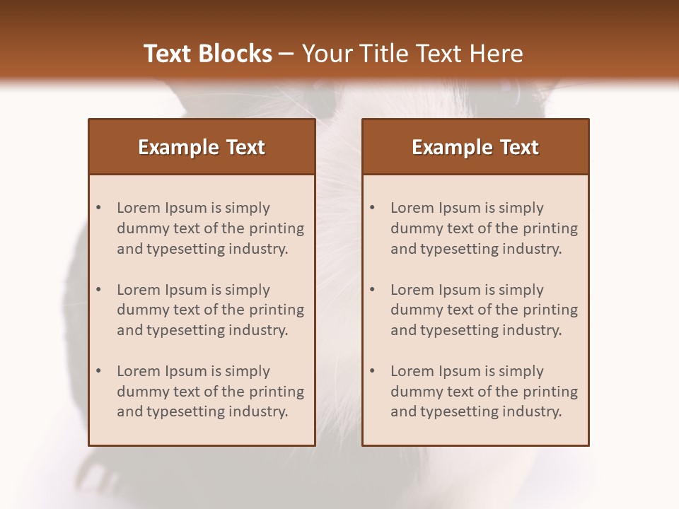 Pig Guinea Lab PowerPoint Template