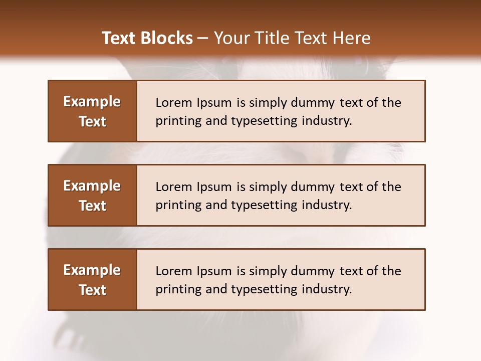 Pig Guinea Lab PowerPoint Template