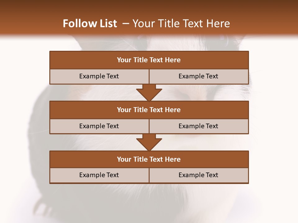 Pig Guinea Lab PowerPoint Template