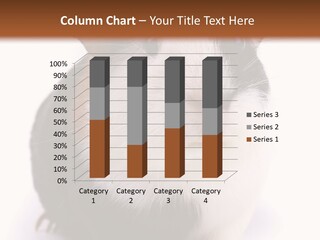 Pig Guinea Lab PowerPoint Template