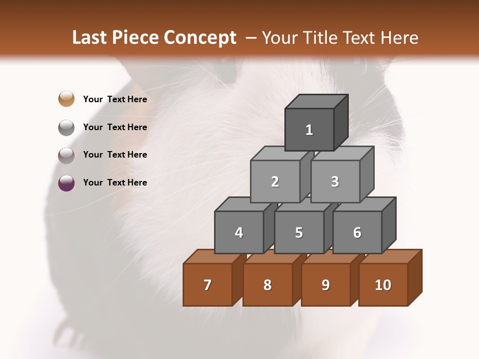 Pig Guinea Lab PowerPoint Template