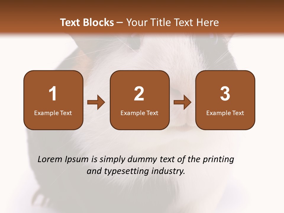 Pig Guinea Lab PowerPoint Template