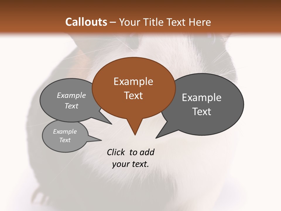 Pig Guinea Lab PowerPoint Template