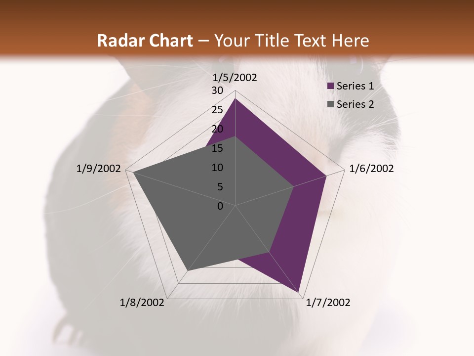 Pig Guinea Lab PowerPoint Template