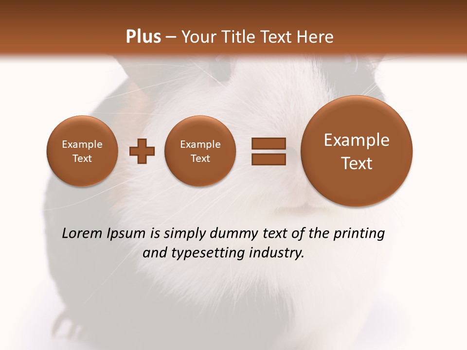 Pig Guinea Lab PowerPoint Template