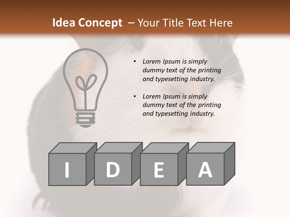 Pig Guinea Lab PowerPoint Template