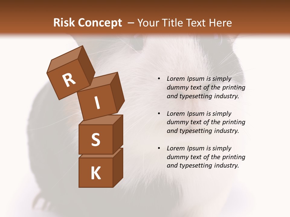 Pig Guinea Lab PowerPoint Template