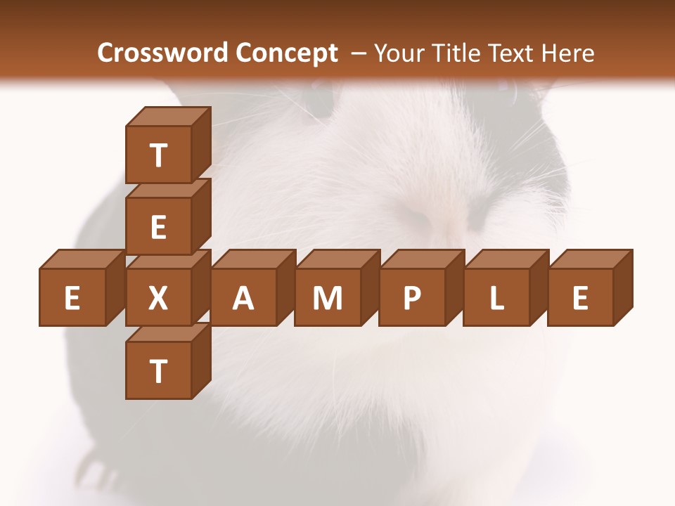 Pig Guinea Lab PowerPoint Template