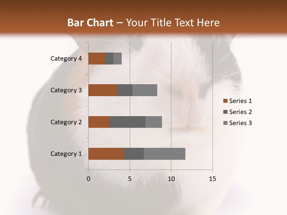 Pig Guinea Lab PowerPoint Template
