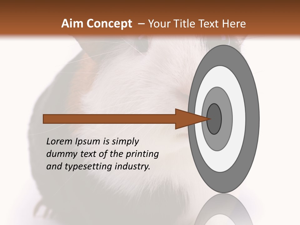 Pig Guinea Lab PowerPoint Template
