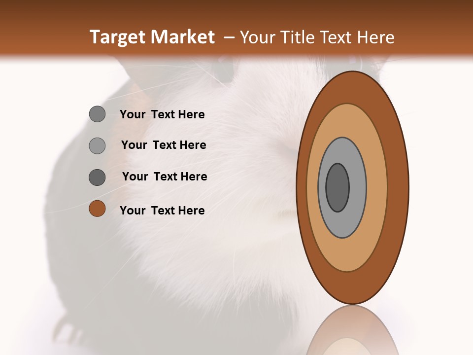 Pig Guinea Lab PowerPoint Template