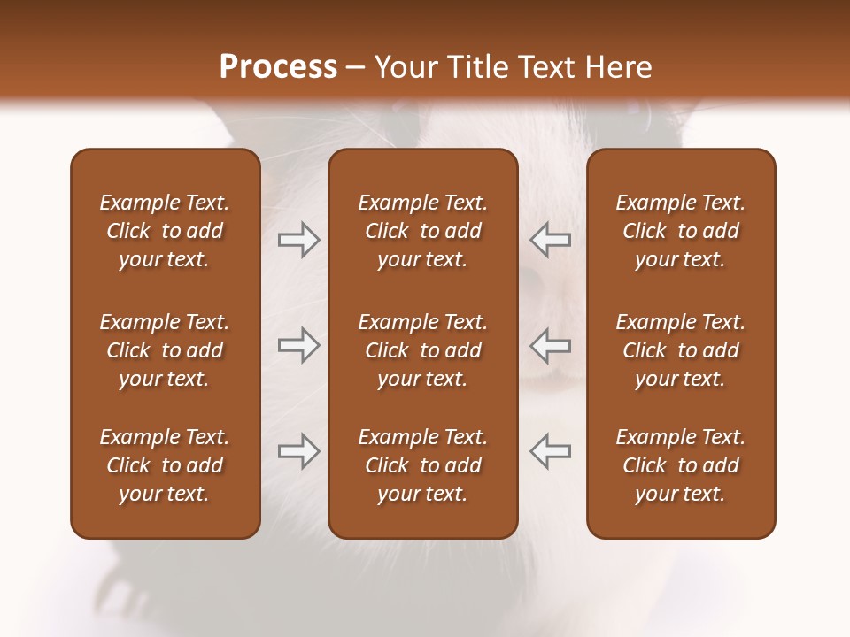 Pig Guinea Lab PowerPoint Template
