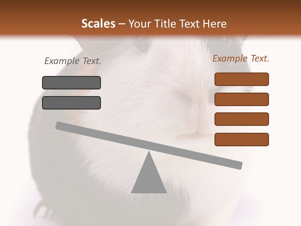 Pig Guinea Lab PowerPoint Template