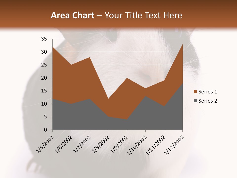 Pig Guinea Lab PowerPoint Template