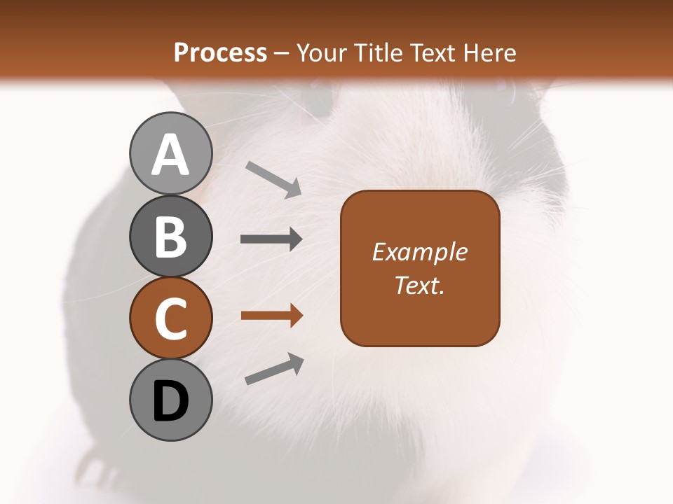 Pig Guinea Lab PowerPoint Template